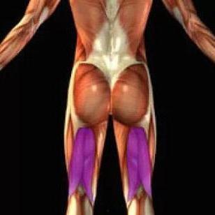 绳与肌电影在线观看,探索人体极限的视觉盛宴